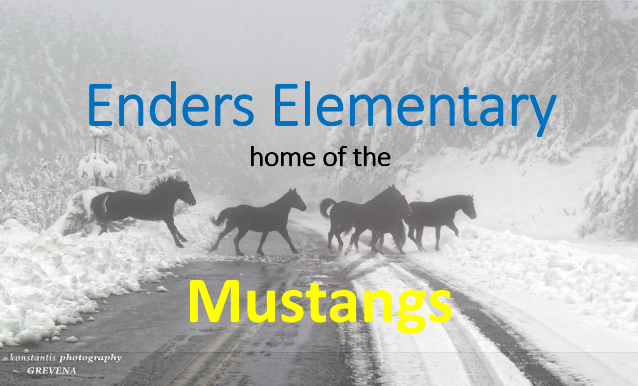 Enders Elementary
