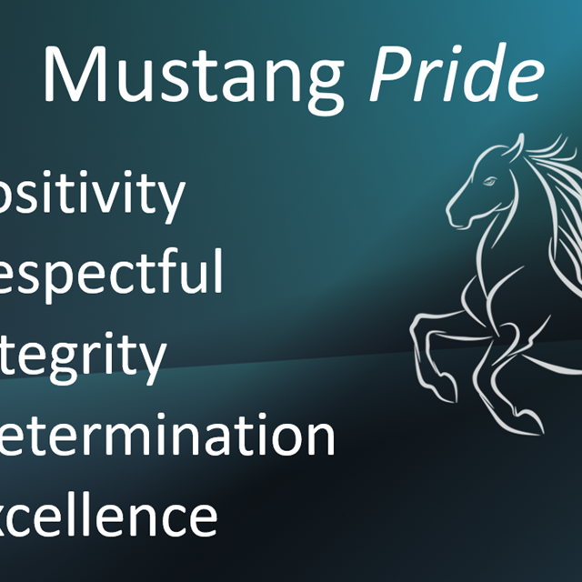 PRIDE