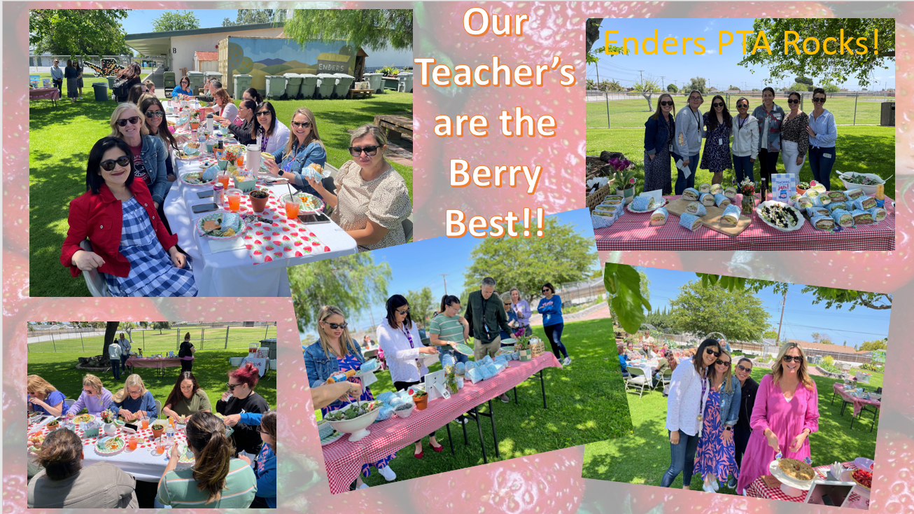 Teachers Appreciation 2024