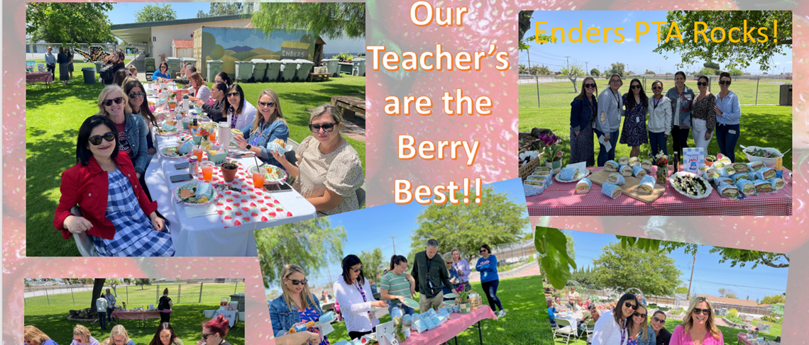 Teachers Appreciation 2024