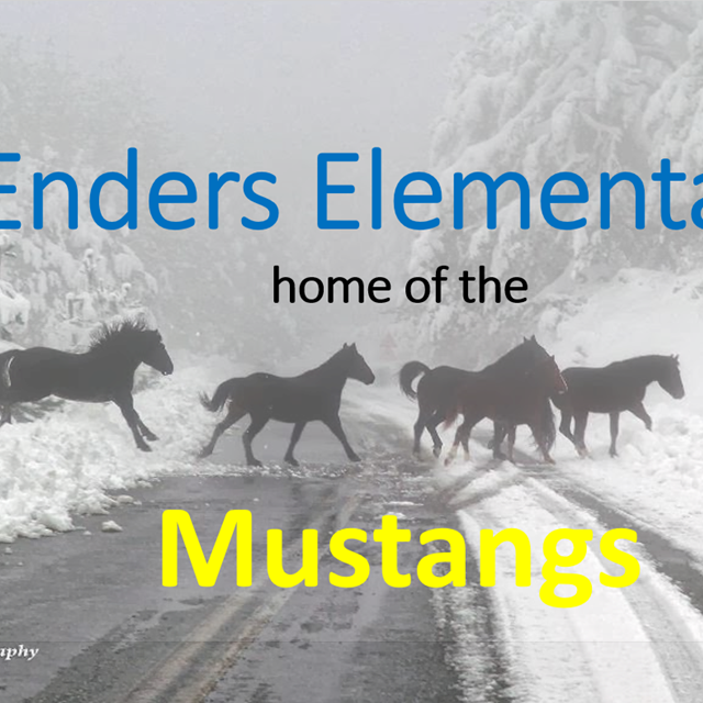 Home of the mustangs