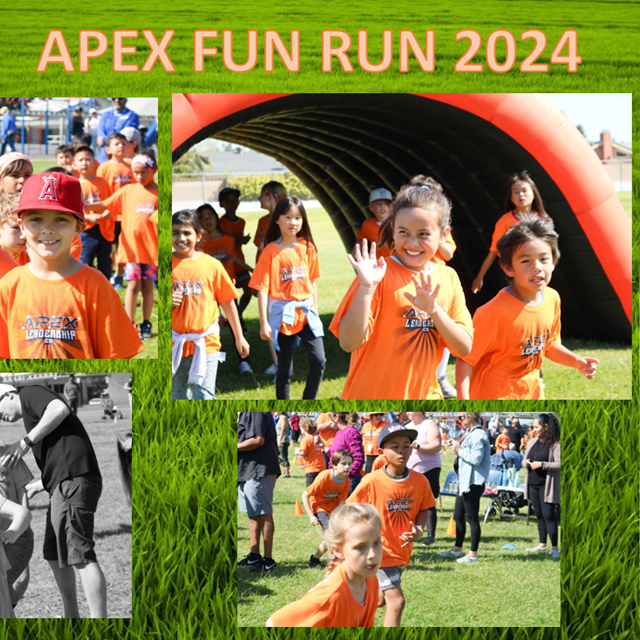 Apex 2024